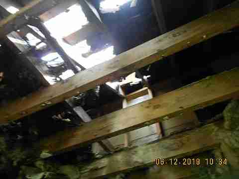 18961 Joann (10)_m.jpg